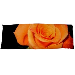 Color Of Desire Body Pillow Case (dakimakura)