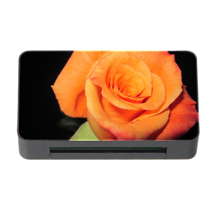 Color of Desire Memory Card Reader with CF