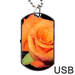 Color Of Desire Dog Tag Usb Flash (one Side)