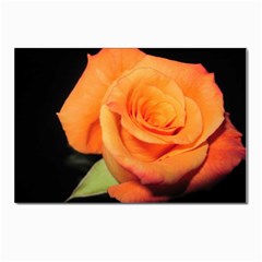 Color Of Desire Postcard 4 x 6  (pkg Of 10) by tomikokhphotography