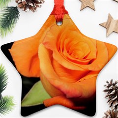 Color Of Desire Star Ornament (two Sides) by tomikokhphotography