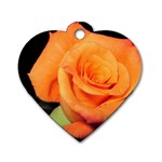 Color of Desire Dog Tag Heart (One Side) Front