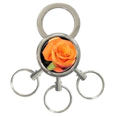 Color Of Desire 3-ring Key Chain