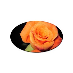 Color Of Desire Sticker (oval)