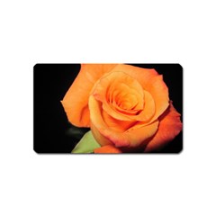 Color Of Desire Magnet (name Card)