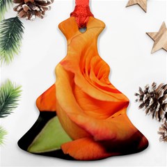 Color Of Desire Christmas Tree Ornament (two Sides) by tomikokhphotography