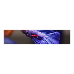 Betta Fish Photo And Wallpaper Cute Betta Fish Pictures Velvet Scrunchie by StoreofSuccess