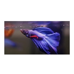 Betta Fish Photo And Wallpaper Cute Betta Fish Pictures Satin Wrap 35  X 70  by StoreofSuccess