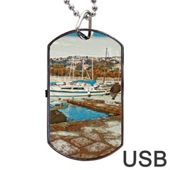 Alone On Gardasee, Italy  Dog Tag Usb Flash (one Side) by ConteMonfrey