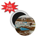 Alone on Gardasee, Italy. 1.75  Magnets (100 pack)  Front