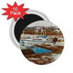 Alone on Gardasee, Italy. 2.25  Magnets (10 pack)  Front