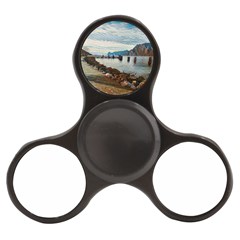 Ducks On Gardasee Finger Spinner