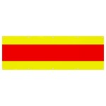 Aust Agder Flag Banner and Sign 12  x 4  Front