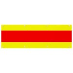 Aust Agder Flag Banner and Sign 9  x 3  Front