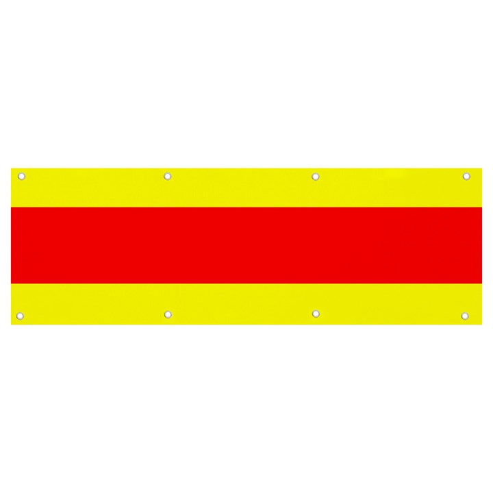 Aust Agder Flag Banner and Sign 9  x 3 