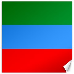 Dagestan Flag Canvas 16  X 16  by tony4urban