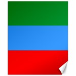 Dagestan Flag Canvas 16  x 20  15.75 x19.29  Canvas - 1