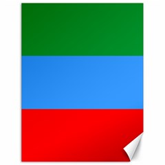 Dagestan Flag Canvas 18  X 24  by tony4urban