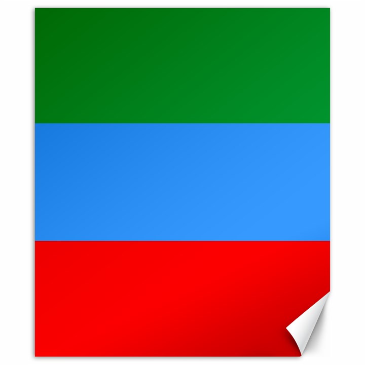 Dagestan Flag Canvas 20  x 24 