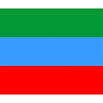 Dagestan Flag Deluxe Canvas 14  x 11  (Stretched) 14  x 11  x 1.5  Stretched Canvas