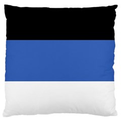 Estonia Large Cushion Case (one Side) by tony4urban