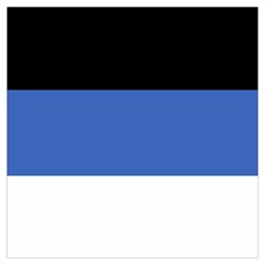 Estonia Lightweight Scarf  by tony4urban