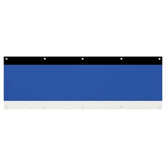 Estonia Banner And Sign 12  X 4 