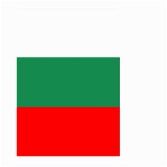 Bulgaria Large Garden Flag (two Sides) by tony4urban