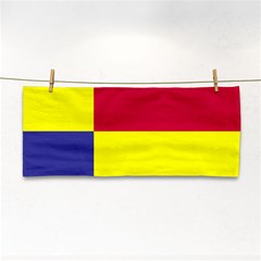 Kosicky Flag Hand Towel by tony4urban