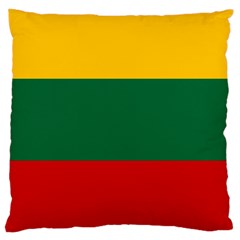 Lithuania Large Cushion Case (one Side) by tony4urban