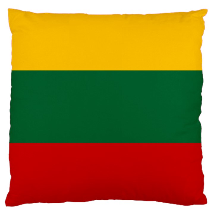 Lithuania Large Cushion Case (Two Sides)