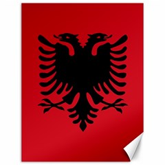 Albania Canvas 12  X 16  by tony4urban