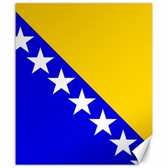 Bosnia And Herzegovina Canvas 20  X 24  by tony4urban