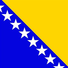 Bosnia And Herzegovina Play Mat (rectangle)