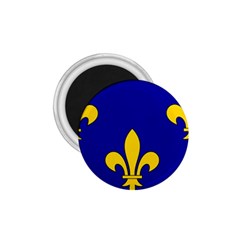 Ile De France Flag 1 75  Magnets by tony4urban