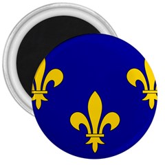 Ile De France Flag 3  Magnets by tony4urban