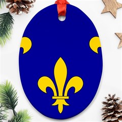 Ile De France Flag Ornament (oval) by tony4urban