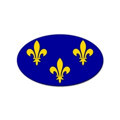 Ile De France Flag Sticker Oval (100 Pack) by tony4urban