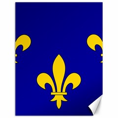 Ile De France Flag Canvas 12  X 16  by tony4urban