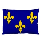 Ile De France Flag Pillow Case 26.62 x18.9  Pillow Case