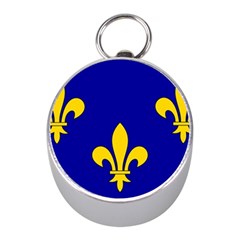 Ile De France Flag Mini Silver Compasses by tony4urban