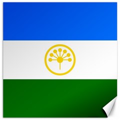 Bashkortostan Flag Canvas 16  X 16  by tony4urban