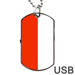 Derry Flag Dog Tag Usb Flash (two Sides) by tony4urban