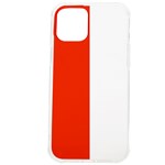 Derry Flag iPhone 12 Pro max TPU UV Print Case Front