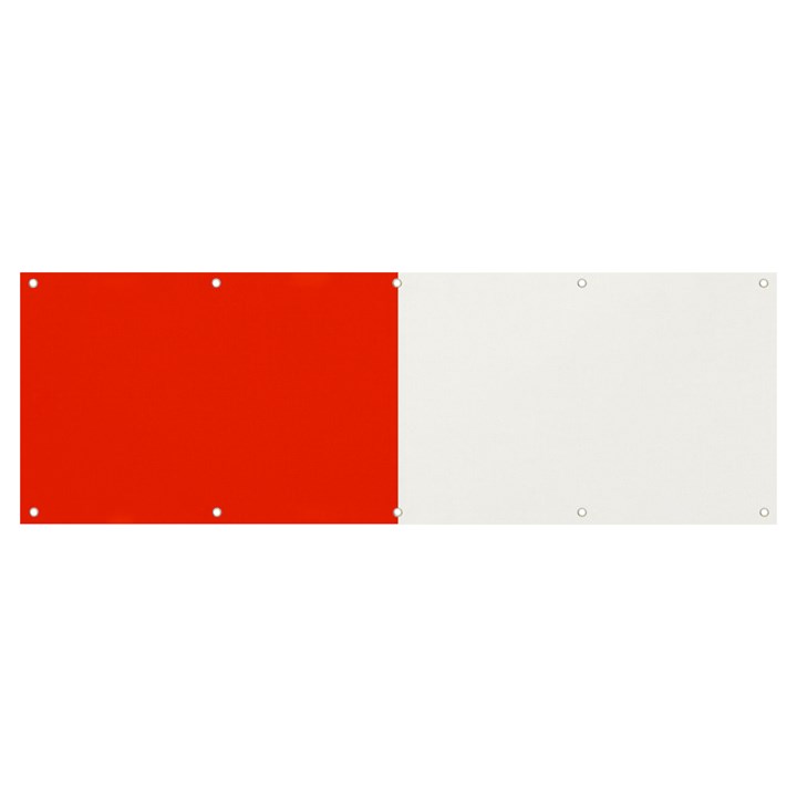 Derry Flag Banner and Sign 12  x 4 