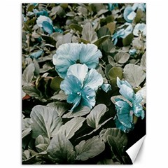 Flowers And Leaves Colored Scene Canvas 12  X 16  by dflcprintsclothing