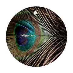 Peacock Ornament (round) by StarvingArtisan