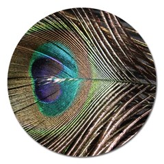 Peacock Magnet 5  (round) by StarvingArtisan