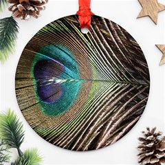 Peacock Round Ornament (two Sides) by StarvingArtisan