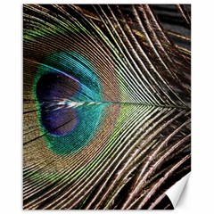 Peacock Canvas 16  X 20  by StarvingArtisan